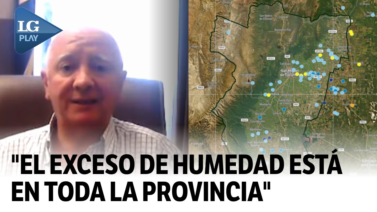 ¿Cómo impactaron las lluvias en los suelos de Tucumán?