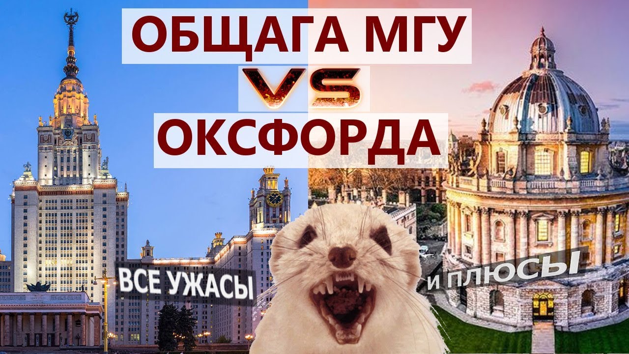 Общежитие МГУ vs Оксфорда. Вся правда - общага МГУ