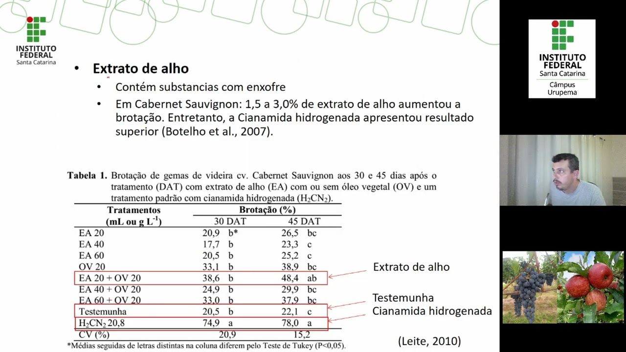 Indutores de brota&ccedil;&atilde;o - Extrato de Alho
