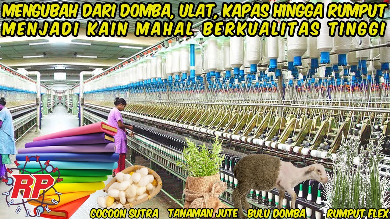INILAH PROSES MENAKJUBKAN MEMBUAT KAIN MEWAH DI PABRIK MODERN | DARI DOMBA ULAT KAPAS HINGGA RUMPUT!