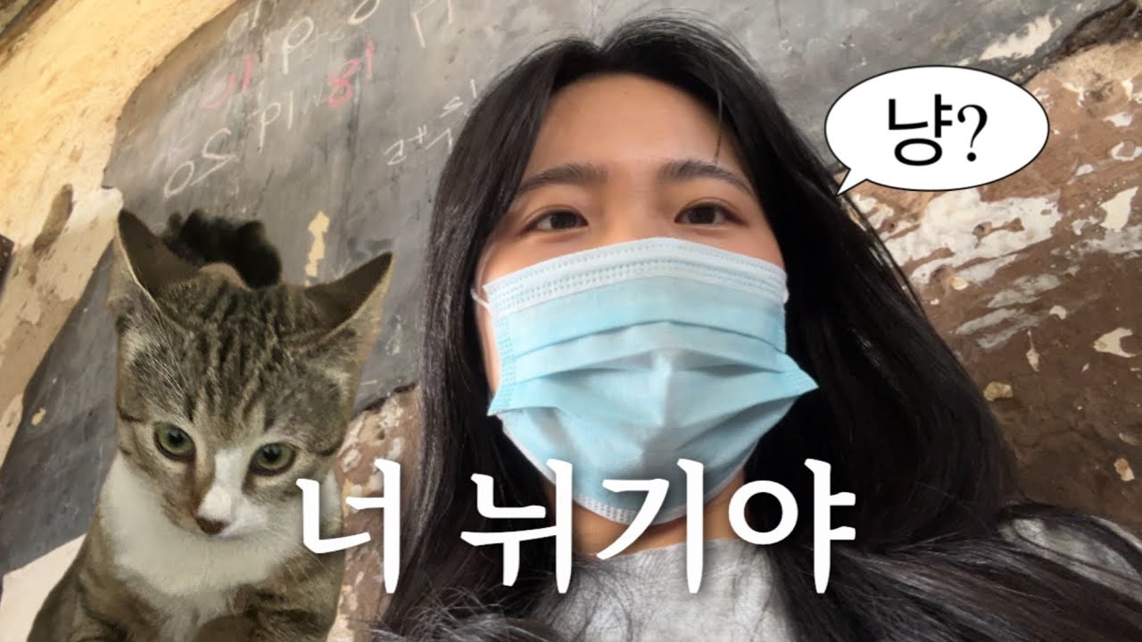 난리자베스 외노자 브이로그 | 어느날 갑자기 고양이가 우리집에 쳐들어왔다 | 헬스장 등록함 