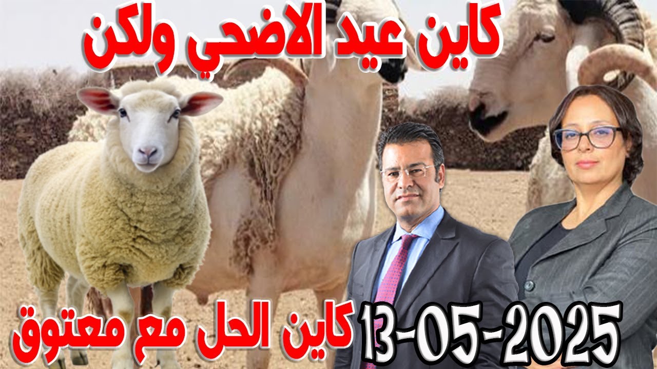 كاين عيد الاضحي ولكن بدون ذبيحة  كاين الحل مع الدكتور جمال معتوق اسرار القانون المغربي 2025-05-13