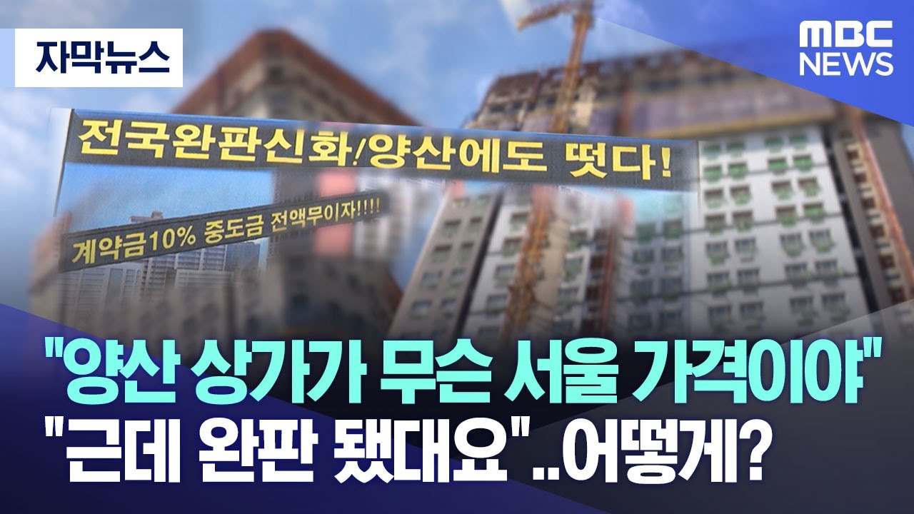 [자막뉴스] 