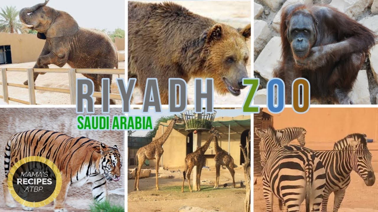 RIYADH ZOO 2021 || Al Malaz District, Riyadh