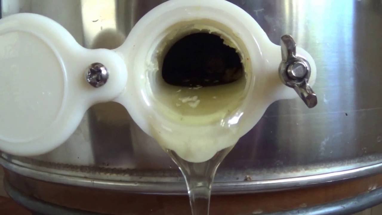 Beginner Beekeeping - First Honey Extraction