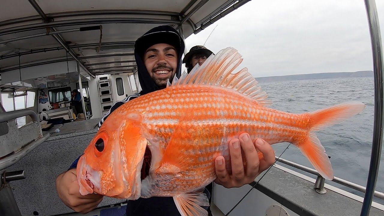 Kangaroo Island Fishing! BEST FISHING CHARTER??