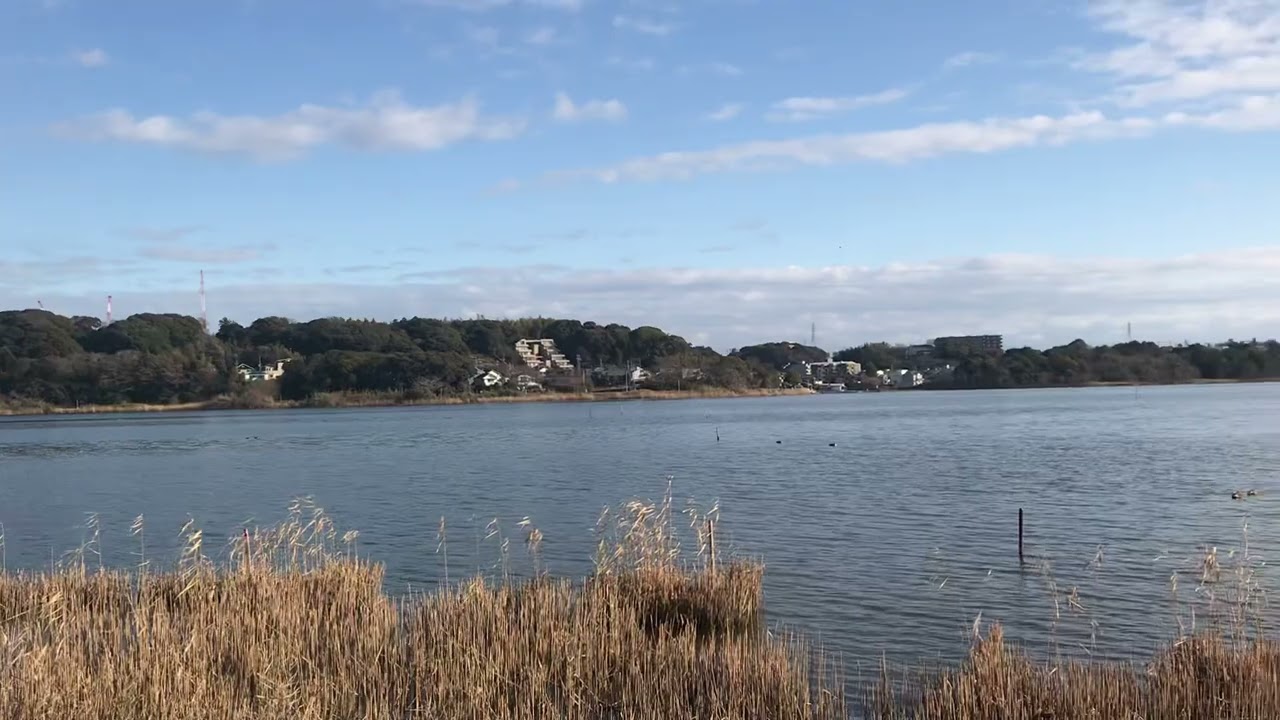 Beautiful View of Sanaru Lake Hamamatsu Shizuoka Japan