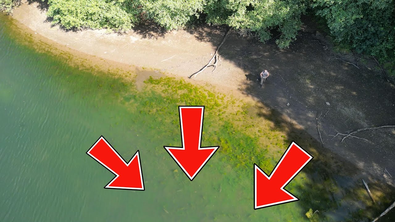 En busca de la gran trucha: ¡Una jornada de pesca épica!