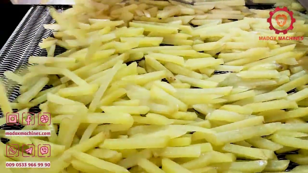 Fully automatic French fries production line From Turkey | frozen french fries production line