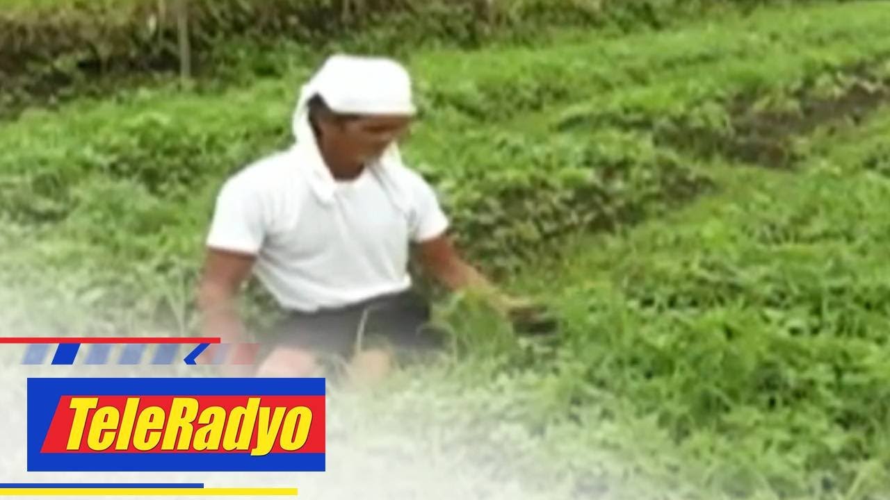 Good Vibes | Teleradyo (7 August 2020)