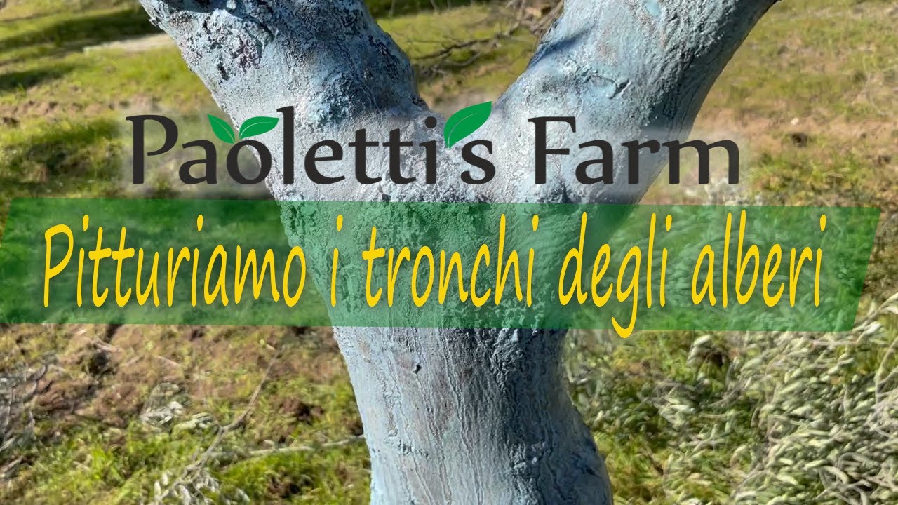 Pitturiamo i Tronchi degli Alberi