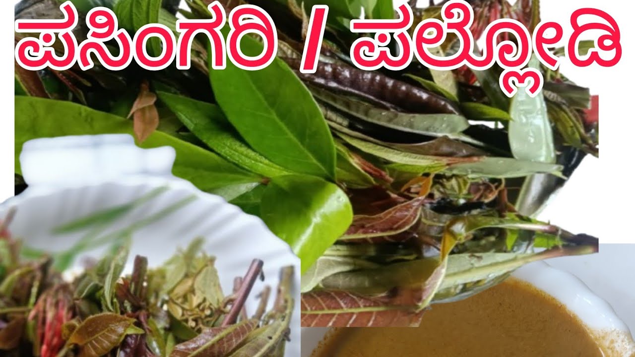 ಹಲವು ಬಗೆಯ ಗಿಡಗಳ ಚಿಗುರಿನ ಸಾರು |ಪಸಿಂಗರಿ |ಪಲ್ಲೋಡಿ #cooking #healthyfood #villagelife #villagefood 