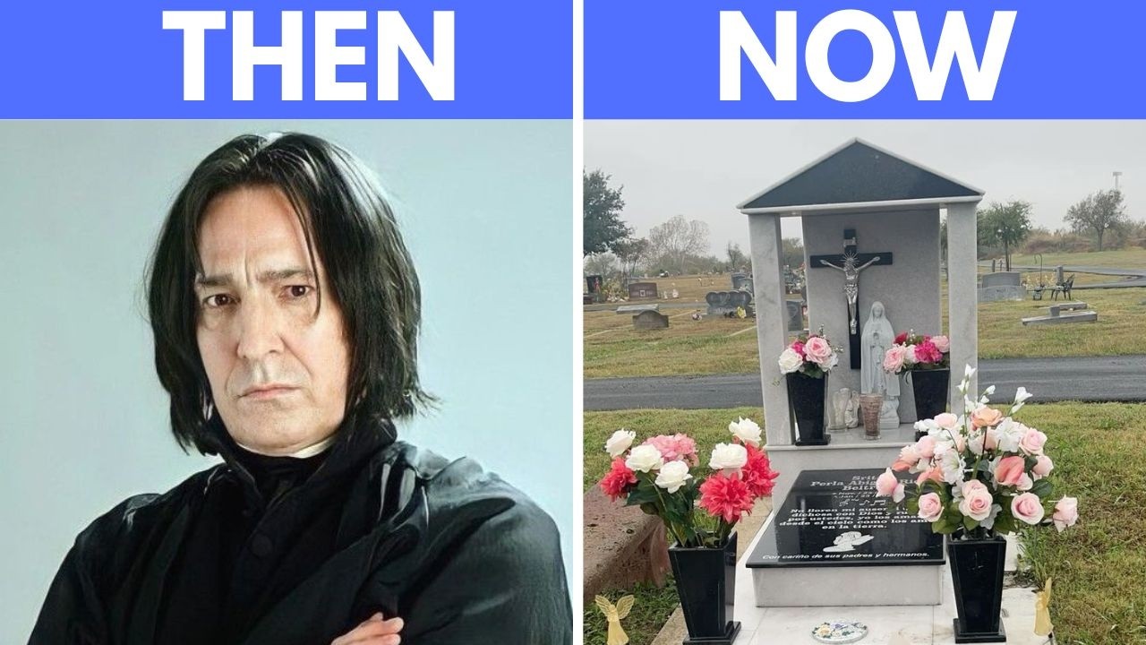 Harry Potter Cast Then vs Now 2026 😳 They Changed So Much!