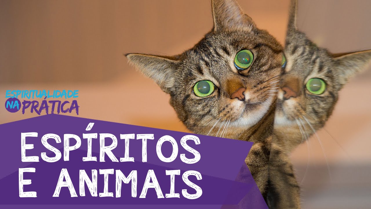 Espiritualidade dos Animais | Espiritualidade na Prática #104