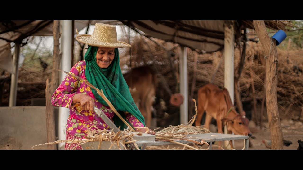 From Farm to Factory - من المزرعة إلى المصنع