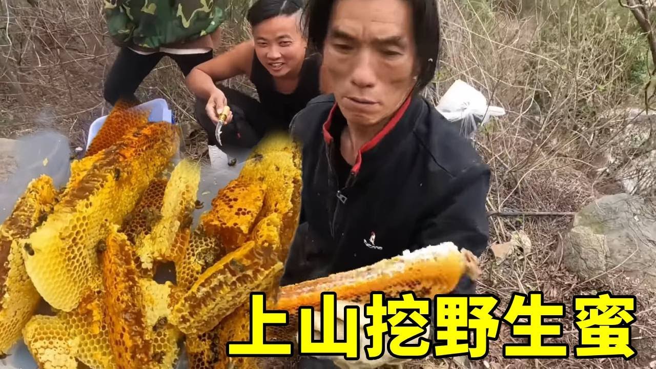 今天竟然有美女学徒来学习，有美女就是不一样，两把直接运气爆表！#农村生活#取蜜