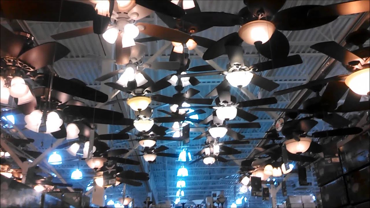 Menards 2013 Ceiling Fan Department