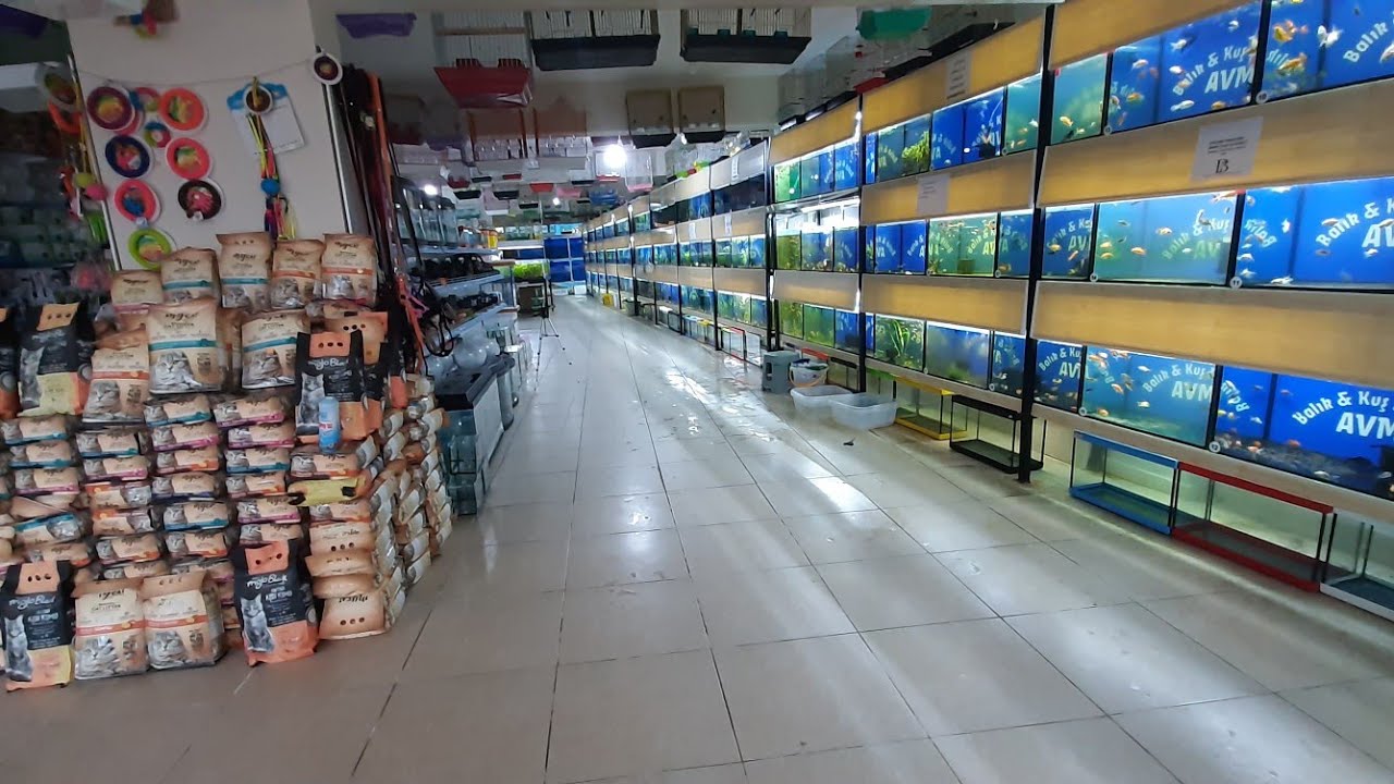 Paket açımı Yeni balıklarımızı akvaryuma aşılama
