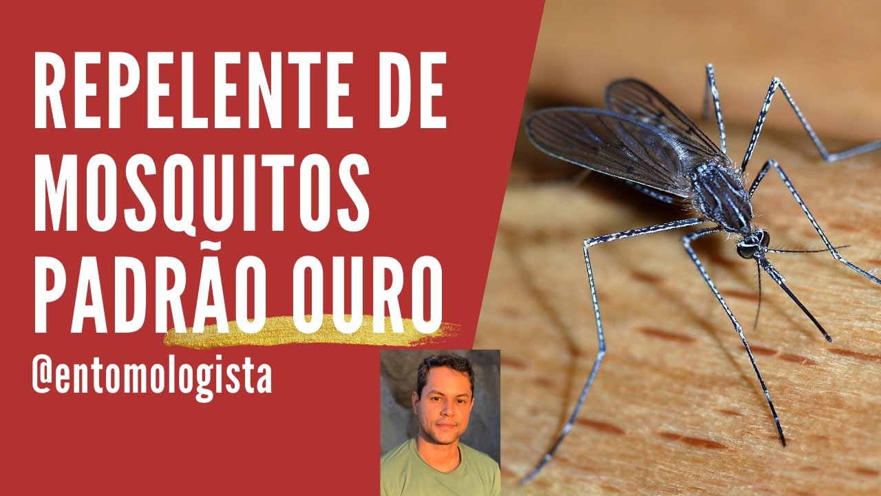 ESCOLHENDO REPELENTE PARA MOSQUITOS: O CASO DO DEET, O PADRÃO OURO DOS REPELENTES DE INSETOS