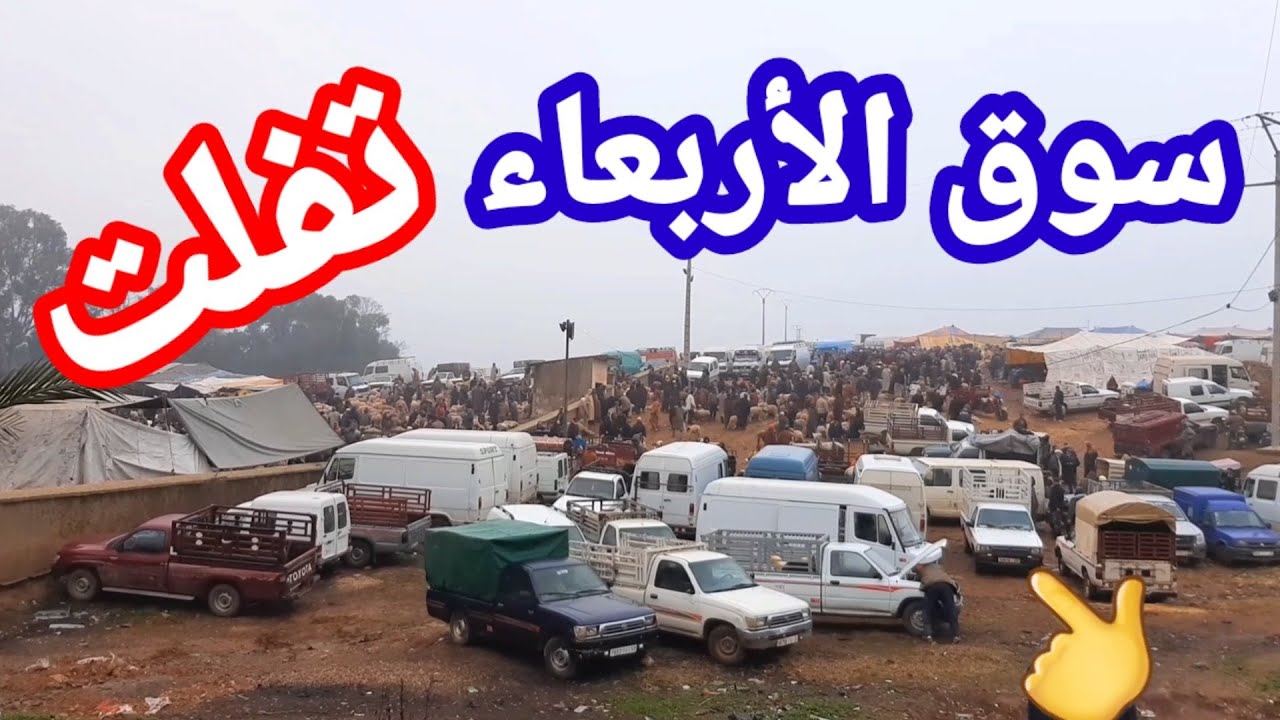 سوق الاسبوعي الأربعاء تفلت كلشي موجد فيه رحبة زرع رحبة لمواشي و الخضروات أشجار دجاج بيض أدوات فلاحية