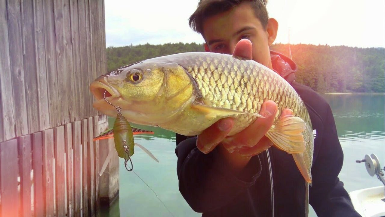 ANGELN am WALCHENSEE | DÖBELRAUSCH am WALCHENSEE 🎣