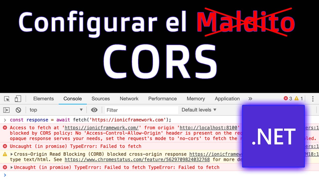 Configurar el Maldito CORS en C# ASP .Net 😠