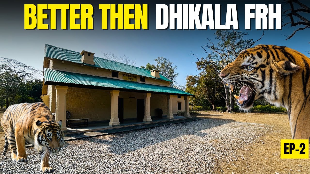 VIP Sarpduli Forest Rest House जहां रोज Tiger & Leopard आते हैं Dhikala Zone Corbett National Park