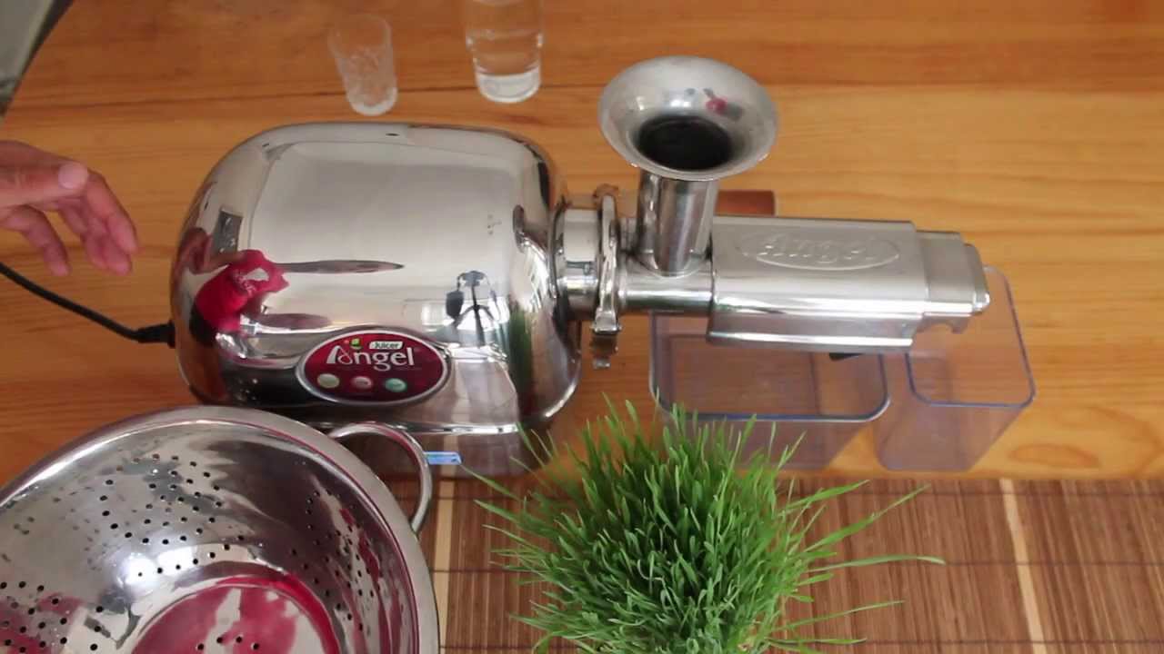 Jucing Homegrown Wheatgrass - Angel Juicer
