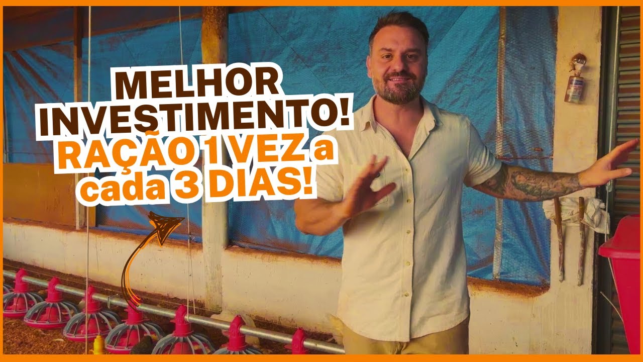COMEDOURO AUTOMÁTICO para Galinhas: Economize Ração, Tempo e Dinheiro!