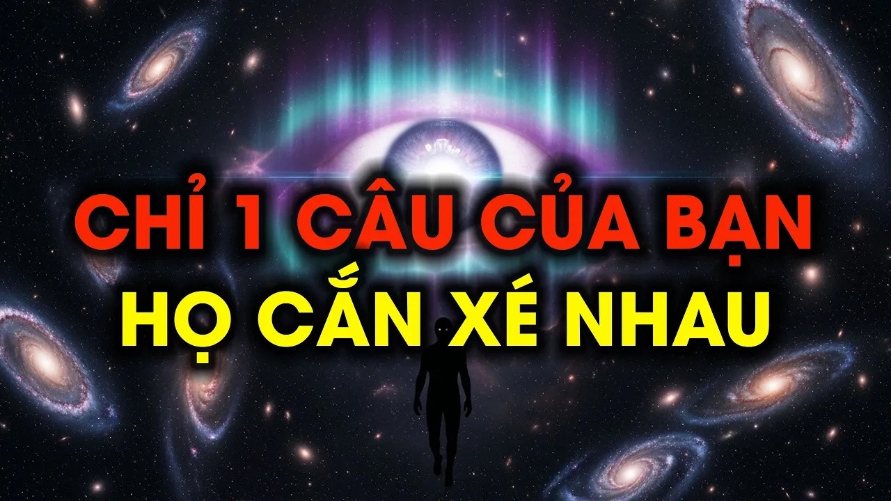 NGƯỜI ĐƯỢC CHỌN : KHI BẠN KH&Ocirc;NG PHẢN KH&Aacute;NG - HỌ BẮT ĐẦU TỰ CẮN X&Eacute; #nguoiduocchon