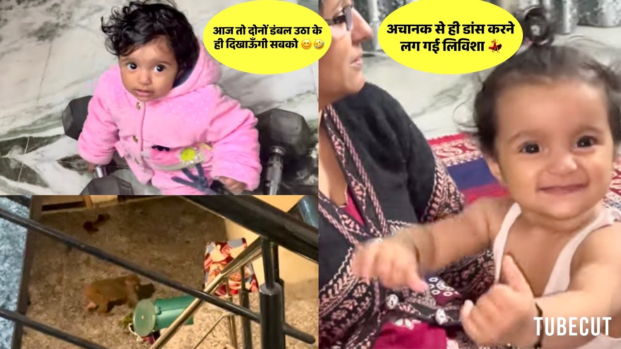 बिल्डिंग में घुस कर बंदरों ने की तोड़ फोड़ 😔पता नहीं कब जाएँगे यहाँ से सारे बंदर 😢
