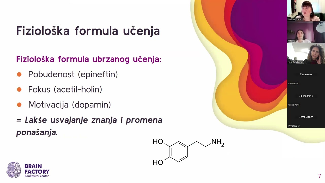 Kako mozak uči? - Uvod u Brain Boost program