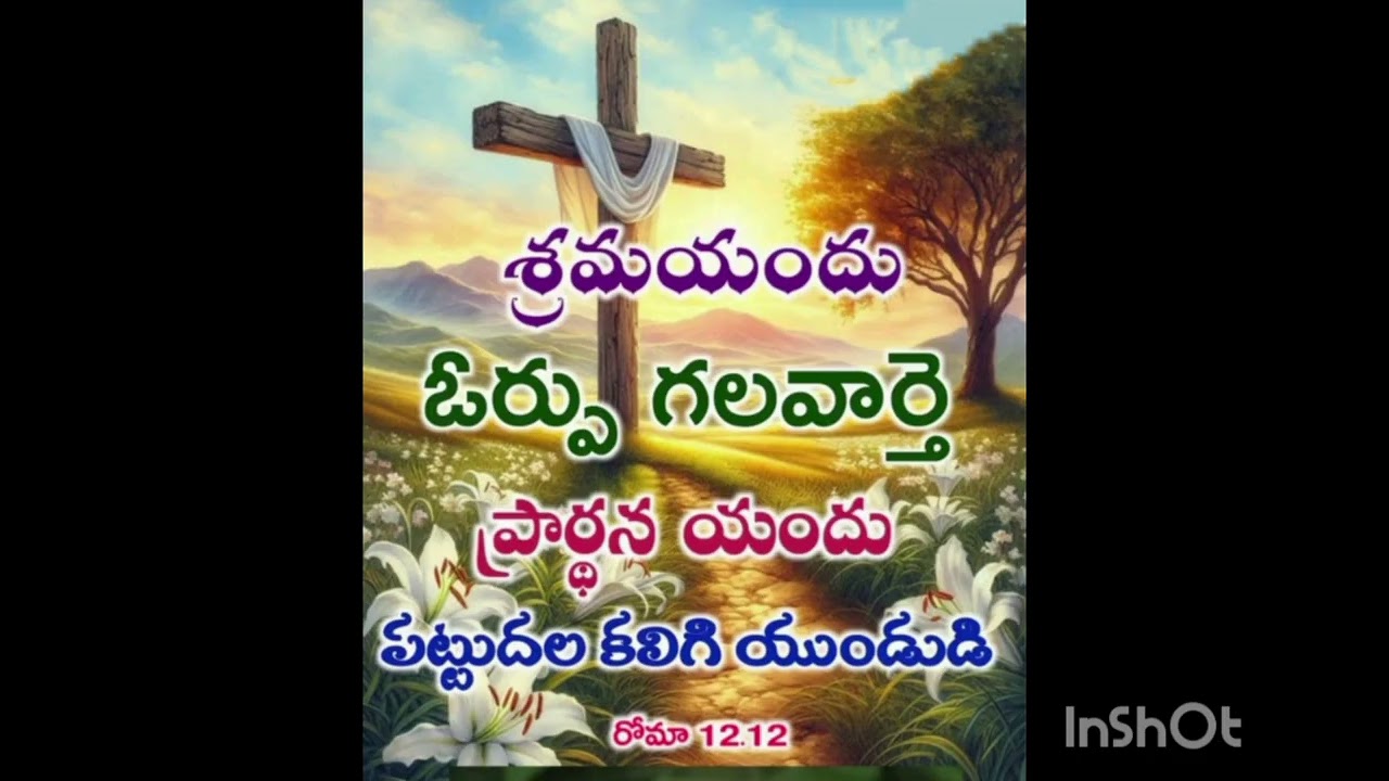 5 March 2026