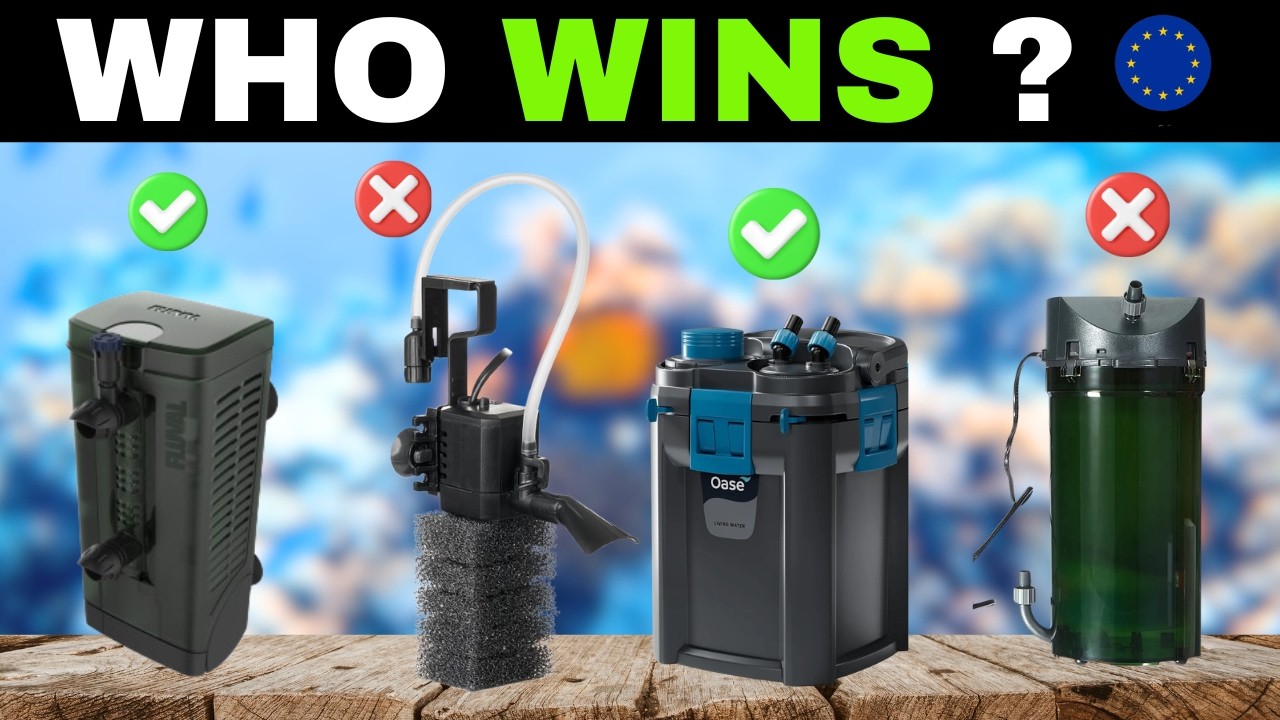 ✅ 7 BEST Aquarium Filters in EUROPE [2026] 🐟 Crystal Clear Water!