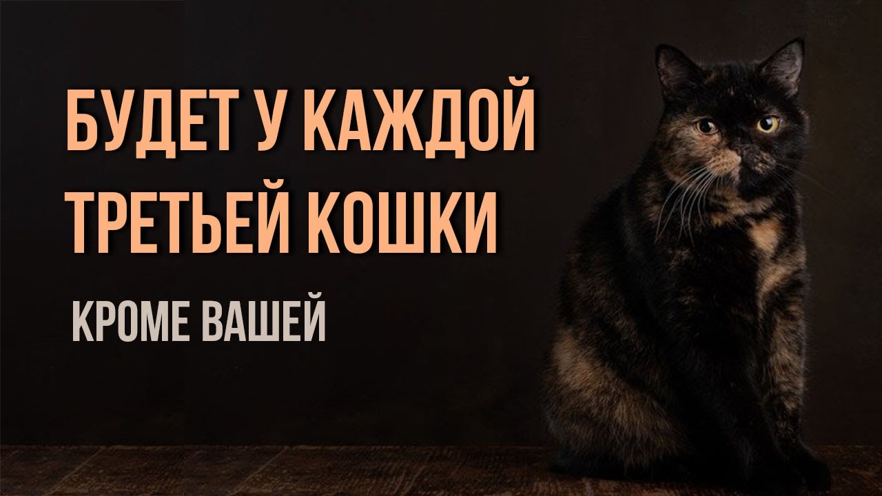 Но вы легко можете не допустить почечной недостаточности