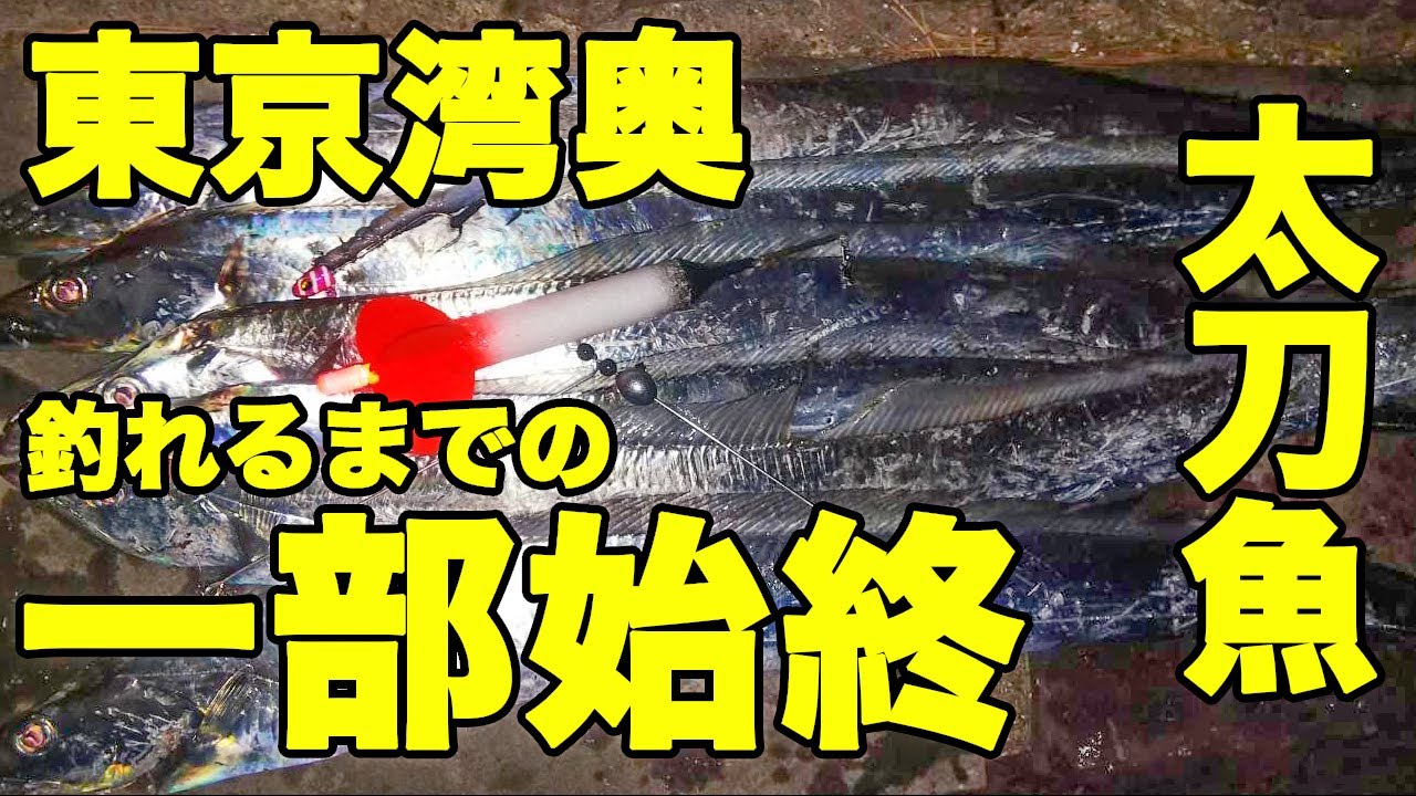 【東京湾奥】太刀魚を電気ウキとテンヤで狙う。二刀流で釣果倍増！？