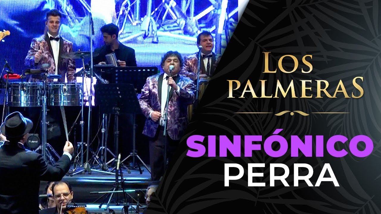 Los Palmeras y la Sinfónica de Santa Fe - Perra
