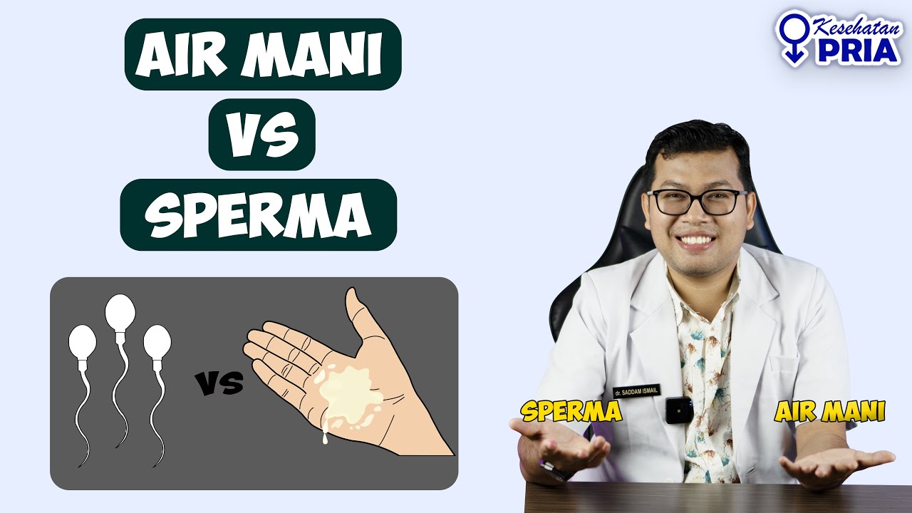 PERBEDAAN AIR MANI DAN SPERMA - DOKTER SADDAM ISMAIL