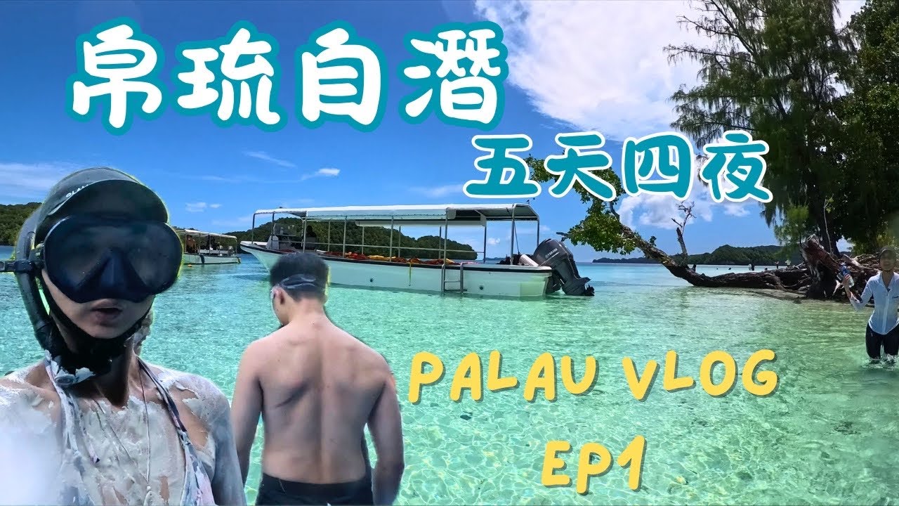 我潛進帛琉的海底世界，看見巨大干貝和乳白色的牛奶湖｜自由潛水 EP1