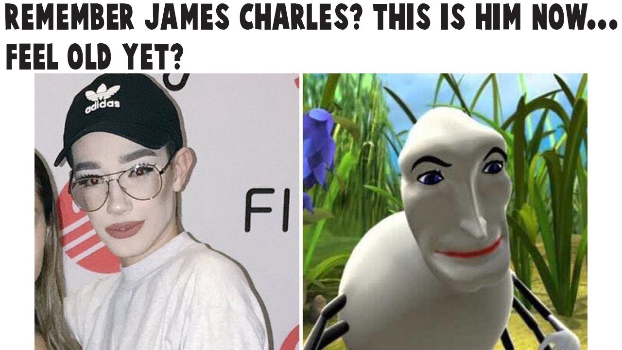 DANK USELESS MEMES V1