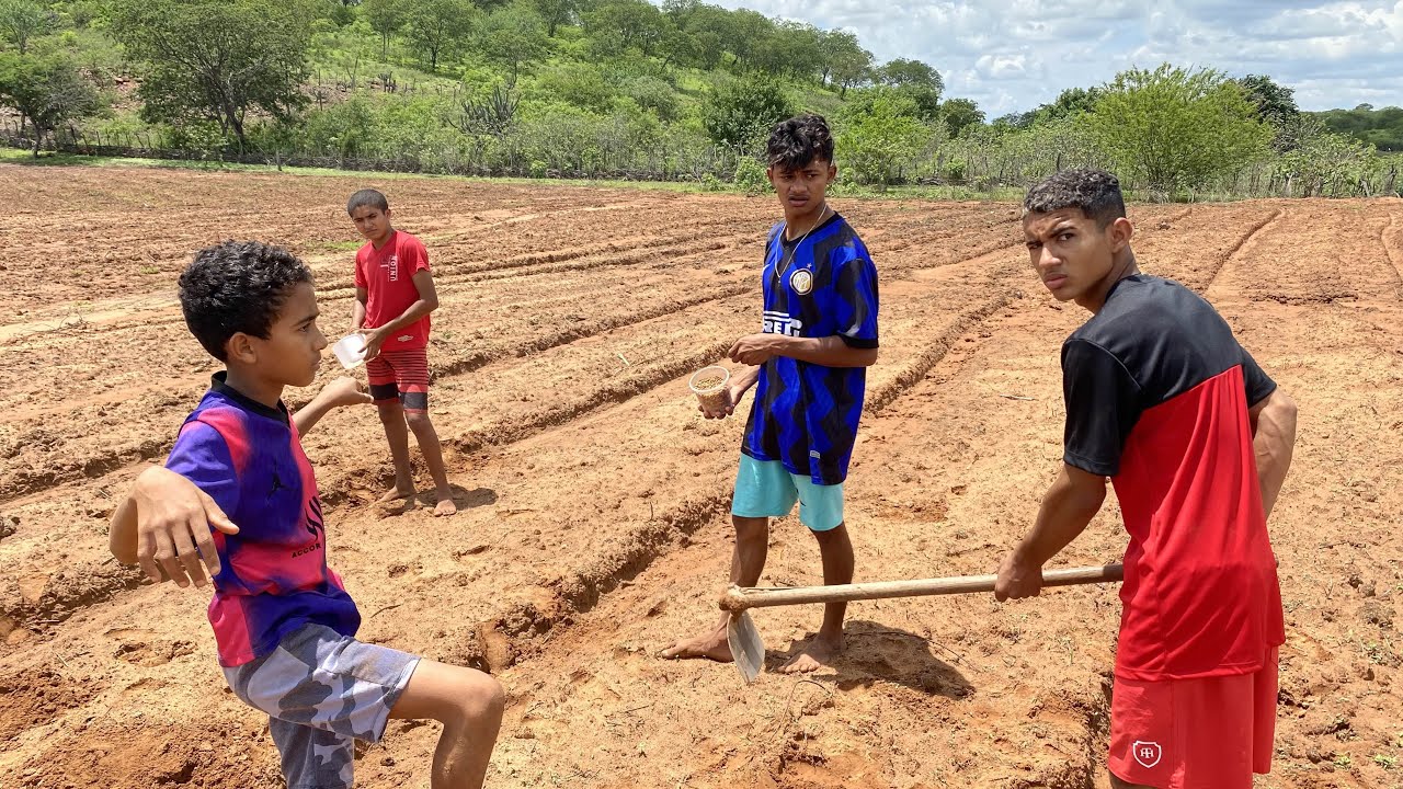 BRUTINHO FOI PLANTAR MILHO E DEU UMA TREMENDA CONFUNSÃO