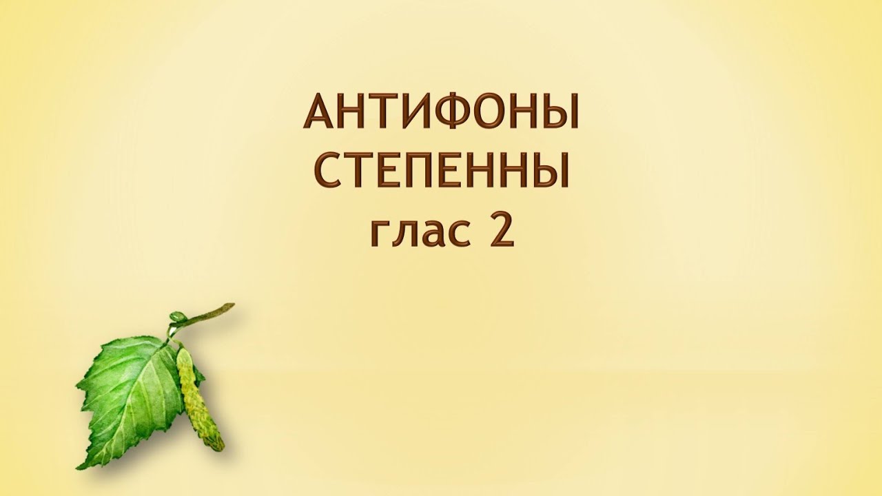 Антифоны степенны, 2 глас.
