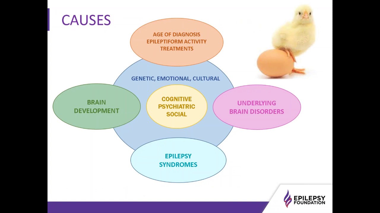 Comorbidities in Epilepsy Focus on Mood and Behavior