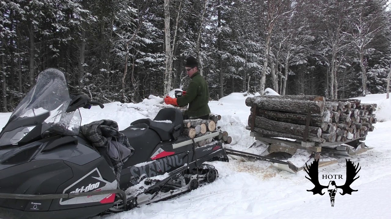 Gettin fire wood  in Newfoundland.