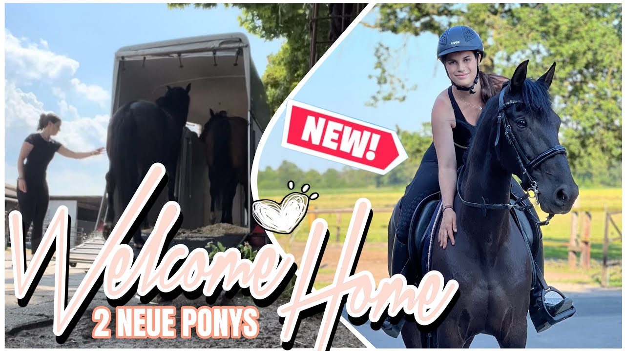 ICH HOLE 2 NEUE PFERDE AB! 🐴❤️ VORSTELLUNGSRUNDE - ASKINO CONSAS