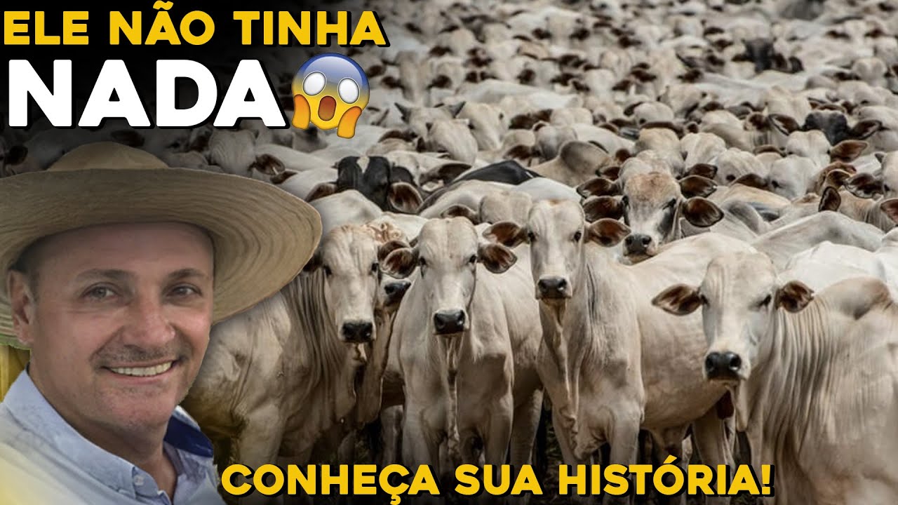 ESSE É O MAIOR PECUARISTA DO MATO GROSSO! - Começou do ZERO!