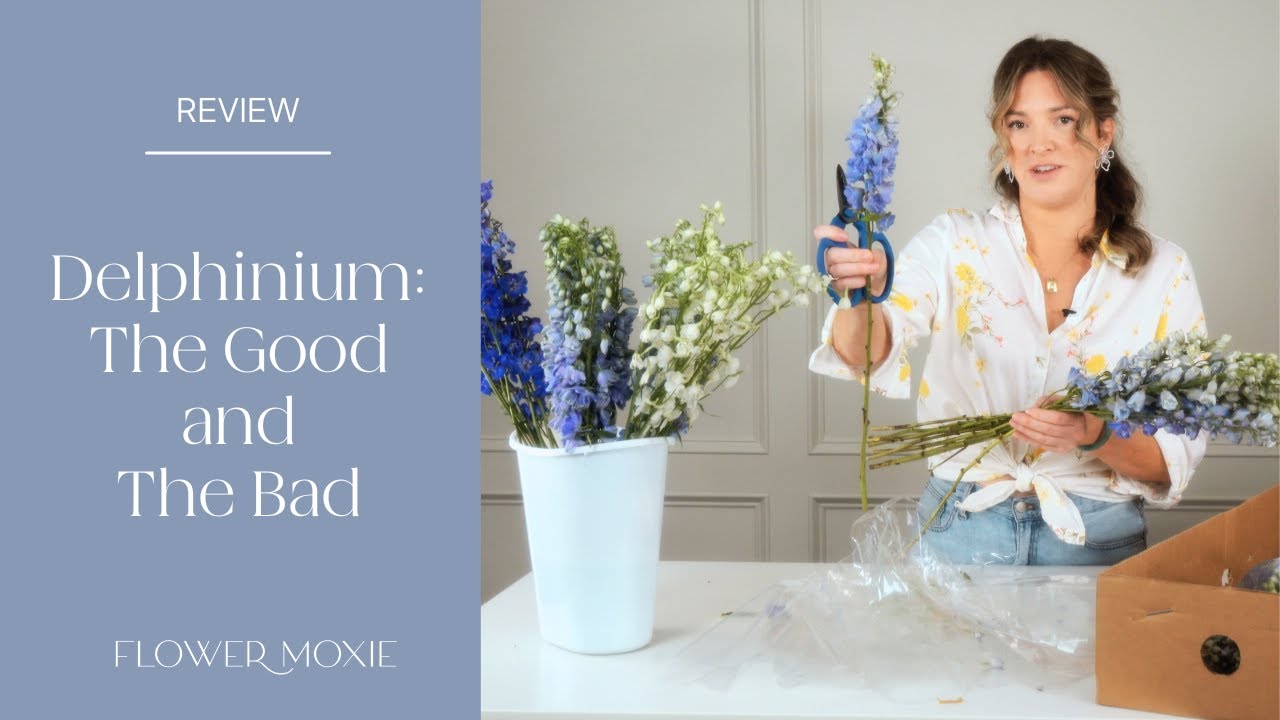 Mastering Delphinium: Tips And Tricks For Working With This Gorgeous Flower