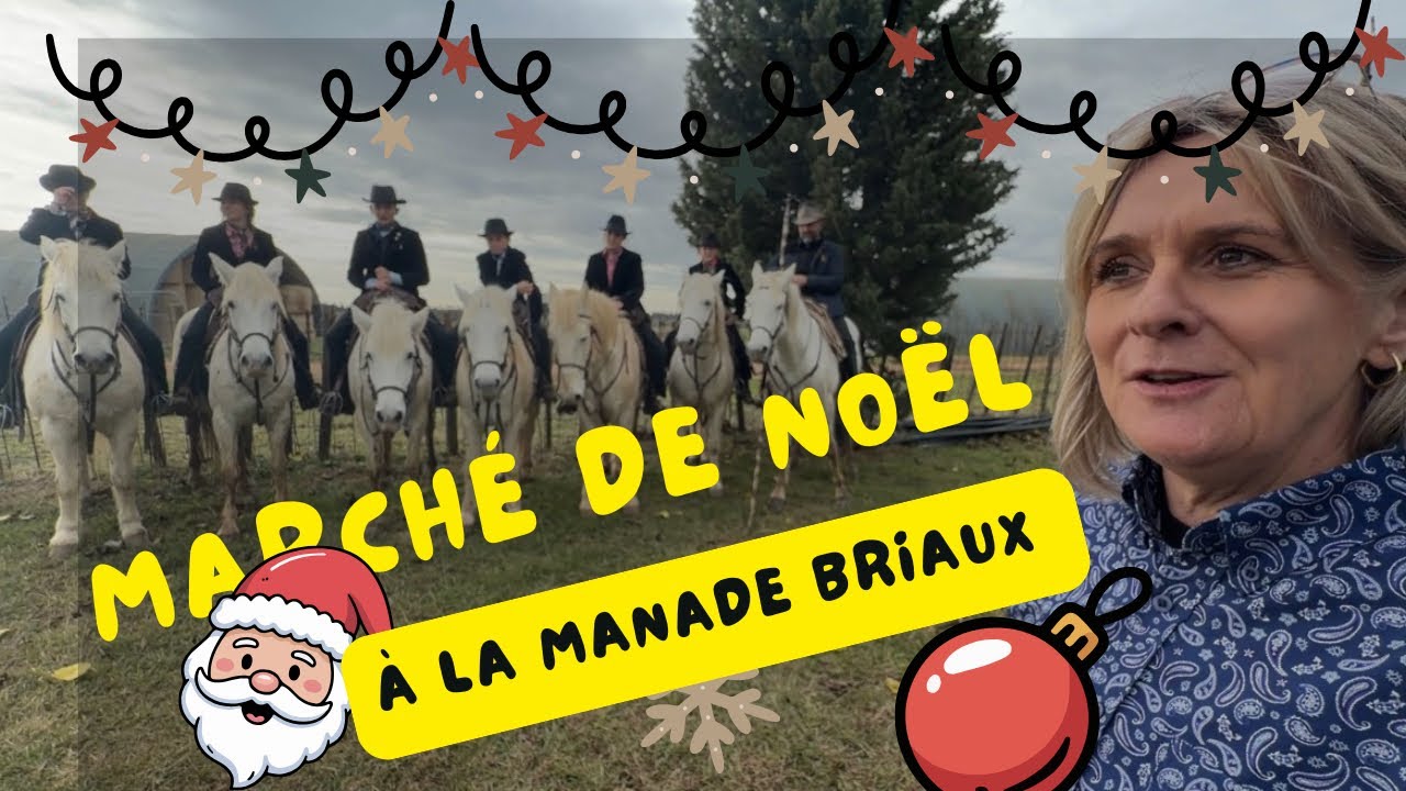 Balade à la Manade BRIAUX 🚶🏽‍➡️pour le marché de Noël 2025 🌲06/12/2025￼