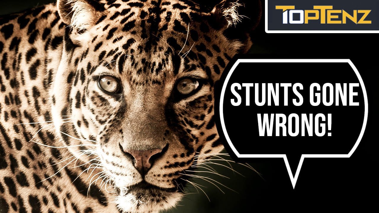 10 Historical Publicity Stunts That Backfired Miserably