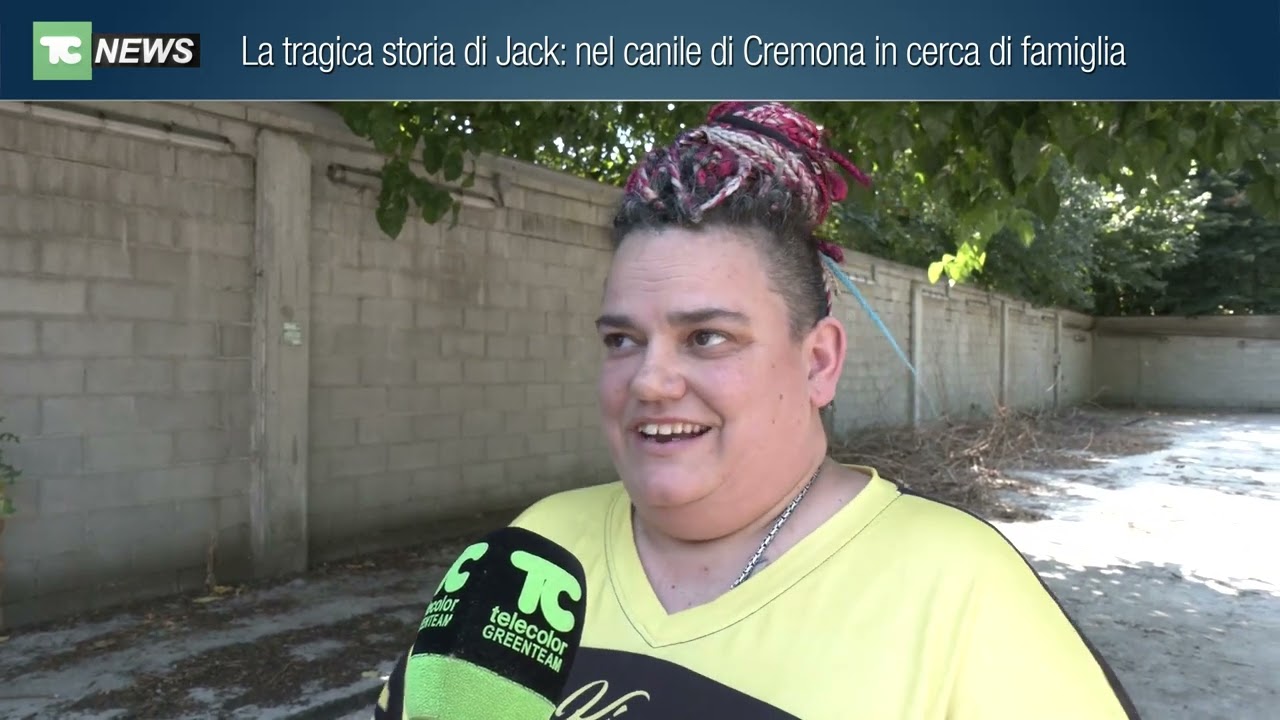 La tragica storia di Jack: nel canile di Cremona in cerca di famiglia